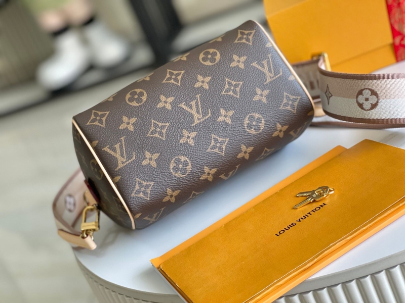 LV Speedy Bags